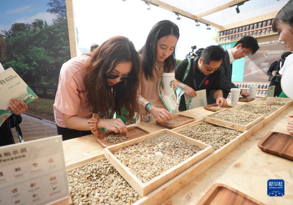 大满贯电子游戏网站